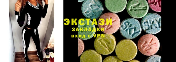 ECSTASY Богданович